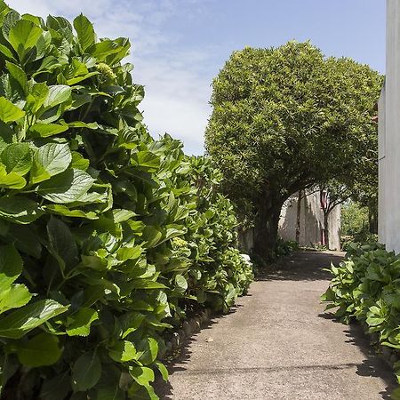 Casa Do Maranhao - Nature & Views Experience Capelas Exterior photo